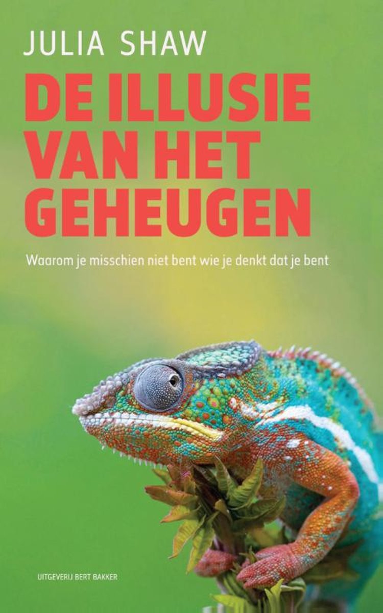 De illusie van het geheugen. Waarom je misschien niet bent wie je denkt dat je bent. Hypnose & regressietherapie.