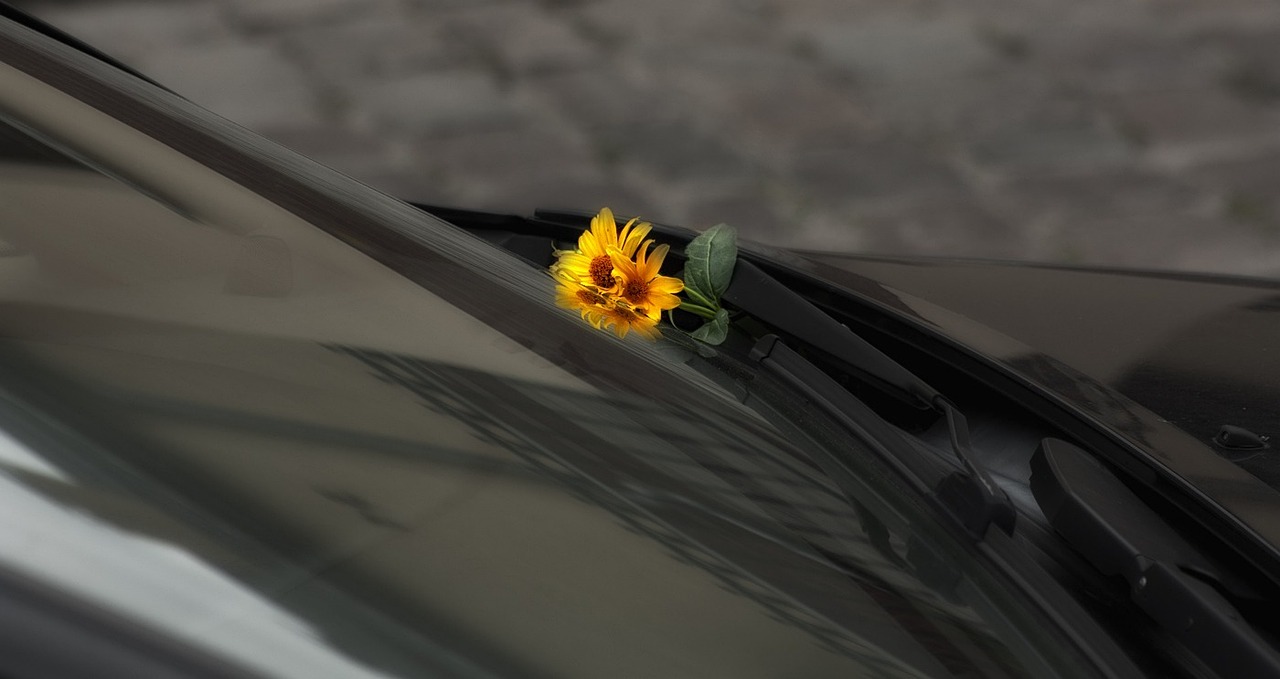 Belang van vergeving met Regressietherapie. Bloem onder ruitenwisser.